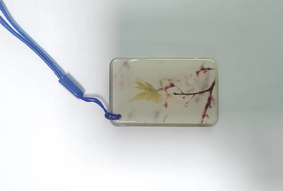 ISO14443A RFID NFC-Umbauten 13.56Mhz NFC-Epoxidumbau für Zugriffskontrollsystem